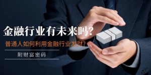 公众号付费文章：金融行业有未来吗？普通人如何利用金融行业发财?(附财富密码)-网创项目