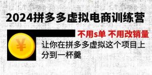 2024拼多多虚拟电商训练营 不用s单 不用改销量 在拼多多虚拟上分到一杯羹-网创项目