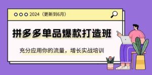 2024拼多多单品爆款打造班,充分应用你的流量,增长实战培训(更新6月)-网创项目