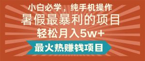 （11583期）小白必学，纯手机操作，暑假最暴利的项目轻松月入5w+最火热赚钱项目-网创项目
