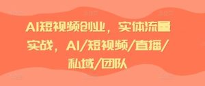 AI短视频创业，实体流量实战，AI/短视频/直播/私域/团队-网创项目