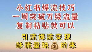 小红书爆流技巧,一周突破万级流量,复制粘贴就可以,引流爆流变现【揭秘】-网创项目