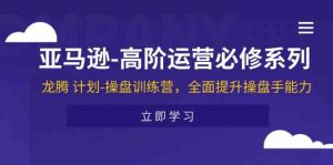 亚马逊高阶运营必修系列，龙腾计划-操盘训练营，全面提升操盘手能力-网创项目