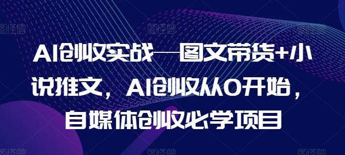 AI创收实战—图文带货+小说推文，AI创收从0开始，自媒体创收必学项目-网创项目