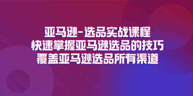 亚马逊选品实战课程，快速掌握亚马逊选品的技巧，覆盖亚马逊选品所有渠道-网创项目