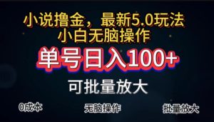 （11651期）全自动小说撸金，单号日入100+小白轻松上手，无脑操作-网创项目