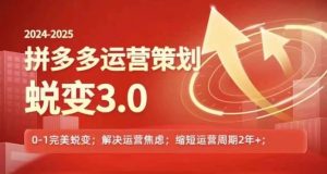 2024-2025拼多多运营策略蜕变3.0,0~1完美蜕变,解决信息焦虑-网创项目