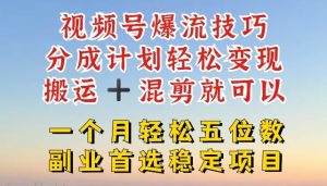 视频号爆流技巧，分成计划轻松变现，搬运 +混剪就可以，一个月轻松五位数稳定项目【揭秘】-网创项目