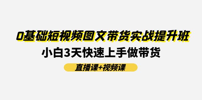 0基础短视频图文带货实战提升班,小白3天快速上手做带货(直播课+视频课)-网创项目