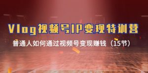 Vlog视频号IP变现特训营,普通人如何通过视频号变现赚钱(15节)-网创项目