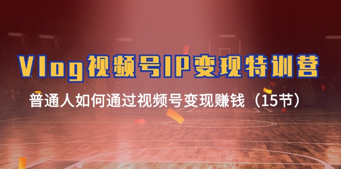 Vlog视频号IP变现特训营,普通人如何通过视频号变现赚钱(15节)-网创项目