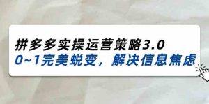 2024-2025拼多多实操运营策略3.0，0~1完美蜕变，解决信息焦虑（38节）-网创项目