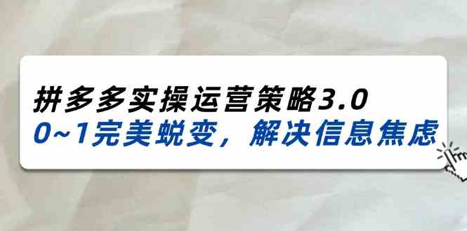 2024-2025拼多多实操运营策略3.0，0~1完美蜕变，解决信息焦虑（38节）-网创项目