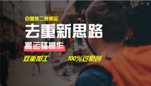 （11682期）去重新思路，详细教你自媒体视频二剪搬运技术，自己加工双重去重100%过…-网创项目