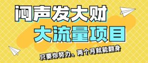 （11688期）闷声发大财，大流量项目，月收益过3万，只要你努力，两个月就能翻身-网创项目