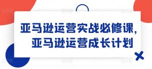 亚马逊运营实战必修课,亚马逊运营成长计划-网创项目