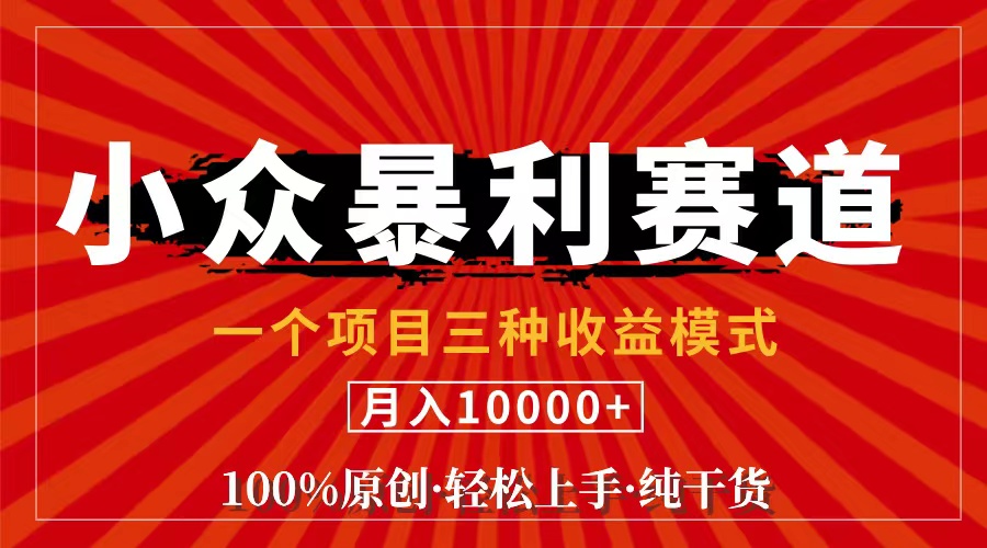 （11695期）视频号【中老年粉深信不疑】小众赛道 100%原创 手把手教学 新号3天收益…-网创项目