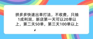 （11681期）拼多多2天起店，只合作不卖课不收费，上架产品无偿对接，只需要你回…-网创项目