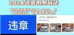 （11743期）2024违章拍照新玩法，推广躺赚+拍照赚钱双模式，日入1000+-网创项目
