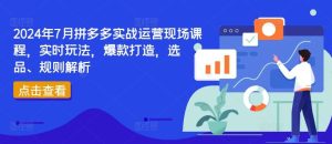 2024年7月拼多多实战运营现场课程，实时玩法，爆款打造，选品、规则解析-网创项目