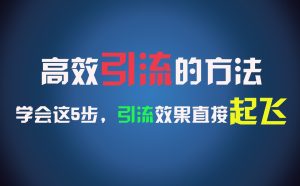 高效引流的方法，可以帮助你日引300+创业粉，一年轻松收入30万，比打工强太多！-网创项目