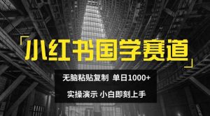 小红书国学赛道,无脑粘贴复制,单日1K,实操演示,小白即刻上手【揭秘】-网创项目