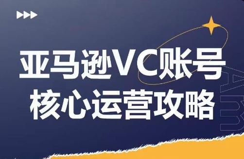 亚马逊VC账号核心玩法解析，实战经验拆解产品模块运营技巧，提升店铺GMV，有效提升运营利润-网创项目
