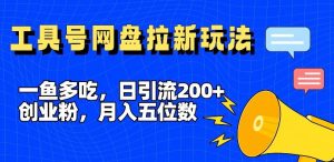 一鱼多吃，日引流200+创业粉，全平台工具号，网盘拉新新玩法月入5位数【揭秘】-网创项目