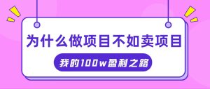（11893期）抓住互联网创业红利期，我通过卖项目轻松赚取100W+-网创项目