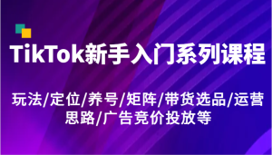 TikTok新手入门系列课程,玩法/定位/养号/矩阵/带货选品/运营思路/广告竞价投放等-网创项目
