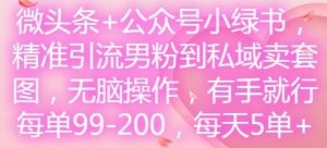 微头条+公众号小绿书,精准引流男粉到私域卖套图,无脑操作,有手就行,每单99-200,每天5单-网创项目