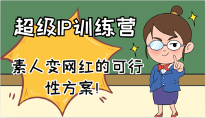超级IP训练营-IP大课，素人变网红的可行性方案！（61节）-网创项目