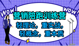 营销陪跑训练营，轻理论，重实战，轻概念，重本质，适合中小企业和初创企业的老板-网创项目