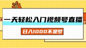 （11906期）一天入门视频号直播带货，日入1000不是梦-网创项目