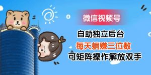 （11910期）微信视频号自助独立后台每天躺赚三位数可矩阵操作解放双手-网创项目