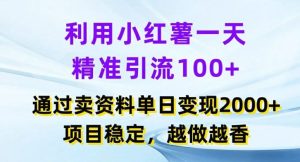 利用小红书一天精准引流100+，通过卖项目单日变现2k+，项目稳定，越做越香【揭秘】-网创项目