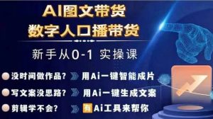 Ai图文带货+数字人口播带货，从0~1实操体系课-网创项目