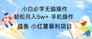 全网首发2024最暴利手机操作项目,简单无脑操作,每单利润最少500+-网创项目