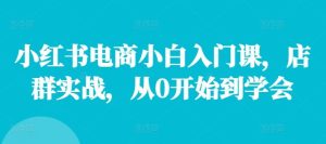 小红书电商小白入门课，店群实战，从0开始到学会-网创项目