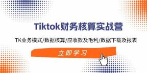 Tiktok财务核算实战营：TK业务模式/数据核算/应收款及毛利/数据下载及报表-网创项目