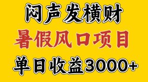 30天赚了7.5W 暑假风口项目,比较好学,2天左右上手-网创项目