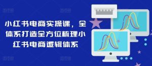 小红书电商实操课，全体系打造全方位梳理小红书电商逻辑体系-网创项目