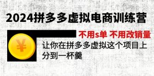 (12024期)2024拼多多虚拟电商训练营 不s单 不改销量 做虚拟项目分一杯羹(更新10节)-网创项目
