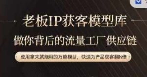 老板IP流量供应链,动作越少,账号越好,使用拿来就能用的万能模型,快速为产品获客翻N倍-网创项目