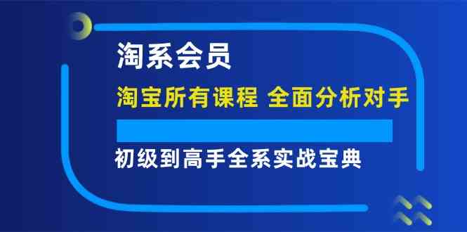 淘系会员初级到高手全系实战宝典【淘宝所有课程，全面分析对手】-网创项目