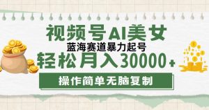（12087期）视频号AI美女跳舞，轻松月入30000+，蓝海赛道，流量池巨大，起号猛，无…-网创项目