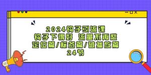 （12097期）2024钩子·引流课：钩子下得好 流量不再愁，定位篇/标签篇/破播放篇/24节-网创项目