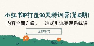 小红书IP打造90天特训营(第10期)：内容全面升级，一站式引流变现系统课-网创项目