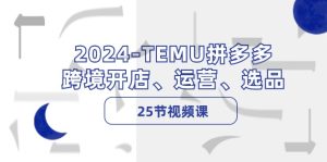 （12106期）2024-TEMU拼多多·跨境开店、运营、选品（25节视频课）-网创项目