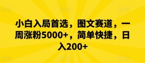 小白入局首选,图文赛道,一周涨粉5000+,简单快捷,日入200+-网创项目